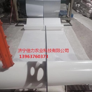 優(yōu)質(zhì)PP雞糞帶高強度耐腐蝕