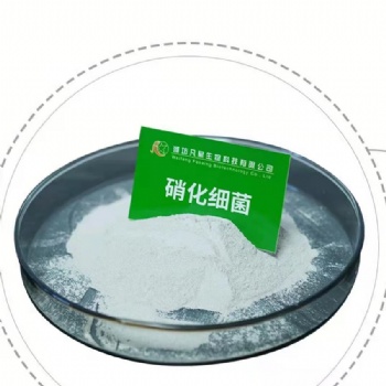 濰坊凡星生化池菌劑-硝化細(xì)菌