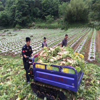 收割機(jī)防陷橡膠履帶半鏈軌價(jià)格橡膠履帶輪