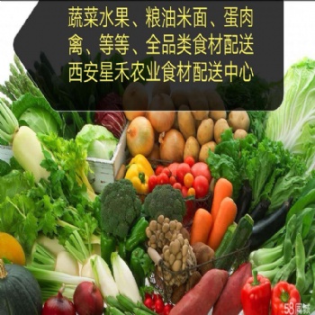 西安幼兒園 企事業(yè)單位蔬菜配送