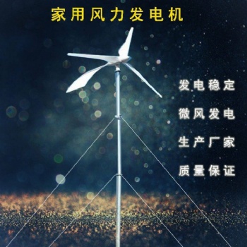 3kw風(fēng)力發(fā)電機(jī)海上抗臺風(fēng)壽命長偏航保護(hù)的風(fēng)機(jī)