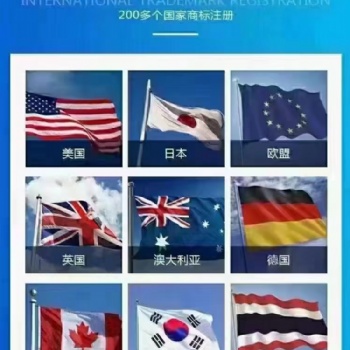 海內(nèi)外商標(biāo)注冊(cè) 中國(guó)、美國(guó)、歐盟、韓國(guó)