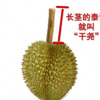 越南干堯榴蓮進(jìn)口報(bào)關(guān)**（通關(guān)指南）