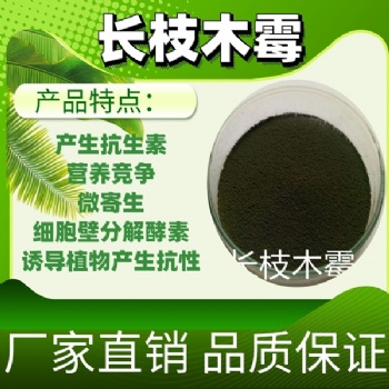長枝木霉 瓜果蔬菜種植預防常見病害用菌種 肥料發酵菌種
