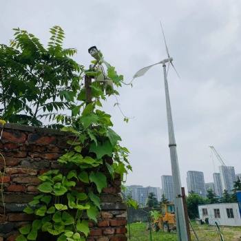 10KW風力發電機變槳距實實在在發電離網并網風機
