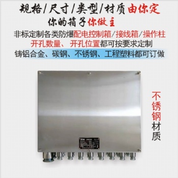 BJX-TXX不銹鋼防爆接線箱防爆端子箱防爆分線箱防爆儀表箱防爆信號轉(zhuǎn)接箱