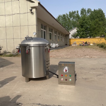 真空濾油機(jī) 商用煎炸油過濾機(jī) 麻花油過濾機(jī)