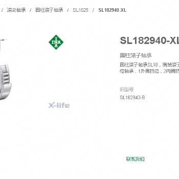 代理德國(guó)INA軸承SL182940-B-XL