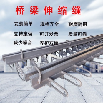 橋梁伸縮縫 GQF-C型公路梳齒板縫毛勒縫C40D60E80型模數式