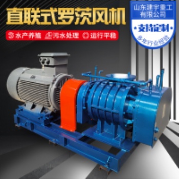 建宇重工直聯(lián)式羅茨風(fēng)機