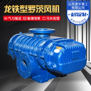 建宇重工龍鐵型羅茨風(fēng)機 氣力輸送 魚塘增氧