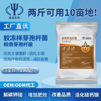 100億膠凍樣芽孢桿菌抑菌促生長 膠質(zhì)芽孢桿菌硅酸鹽細(xì)菌