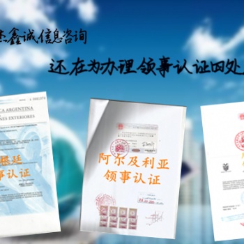 阿聯酋使館蓋章未婚、存款證明公證