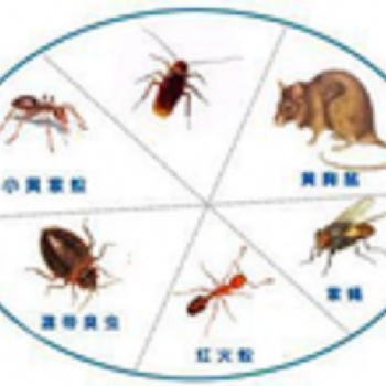 開(kāi)封滅蟑螂/開(kāi)封滅老鼠/開(kāi)封消殺公司/開(kāi)封滅蟲(chóng)服務(wù)