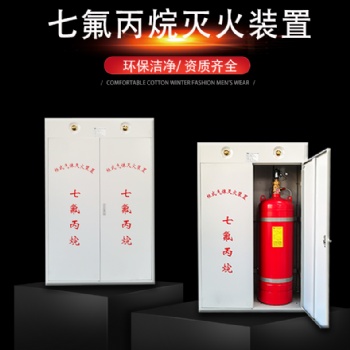 氣體滅火系統(tǒng)七氟丙烷柜式氣體滅火裝置無**氣體滅火設(shè)備