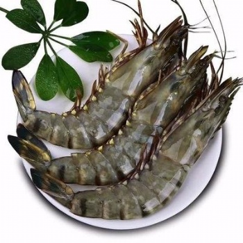 越南冷凍海鮮魚進(jìn)口**報(bào)關(guān)需要的資料和流程