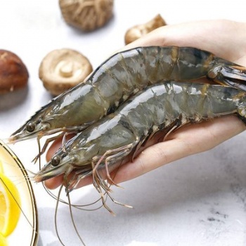 冷凍魚蝦進(jìn)口報(bào)關(guān)通關(guān)流程及**注意細(xì)節(jié)