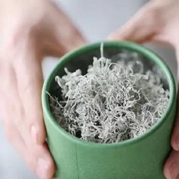 夏至已至，來(lái)鳳藤茶的優(yōu)點(diǎn)及時(shí)了解