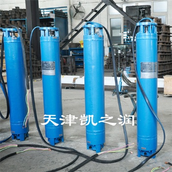 井用潛水泵天津凱之潤(rùn)