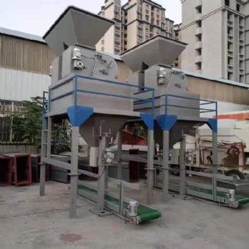 煤炭定量包裝機(jī)煤球自動(dòng)打包機(jī)煤塊稱(chēng)重灌袋機(jī)