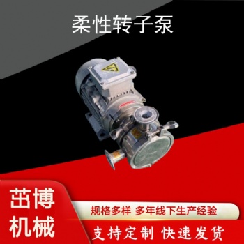 電動衛(wèi)生級柔性轉(zhuǎn)子泵
