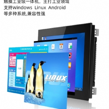17寸壓鑄電阻觸摸一體機(jī) 可做電容 非觸摸 鳳凰端子