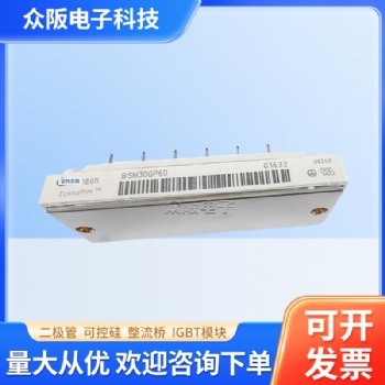 全新原裝英飛凌IGBT模塊 BSM30GP60 全新現(xiàn)貨 IGBT驅動器