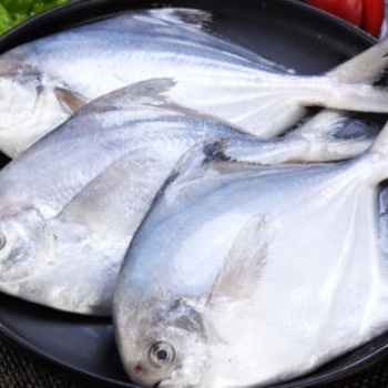 海鮮-冷凍海鮮-各種鮮活水產(chǎn)品