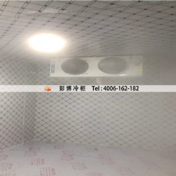 深圳市超市商用冷柜冰柜展示柜批發(fā)進貨價格更實惠