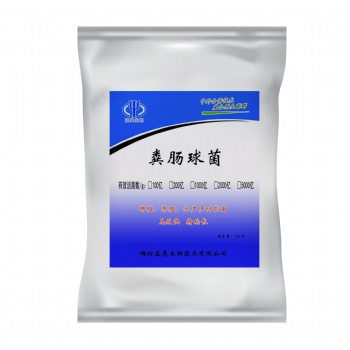 飼用級糞腸球菌 生產(chǎn)廠家益昊生物 OEM 凍干粉型
