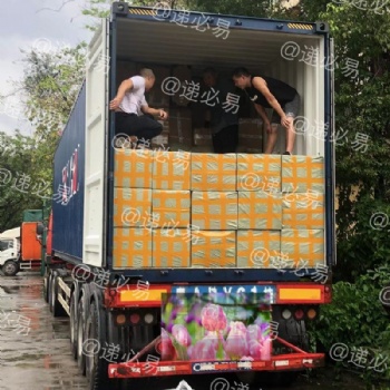 出口東南亞國(guó)家專線十年一手莊物流經(jīng)驗(yàn)