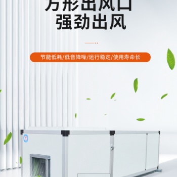 直膨式恒濕恒溫凈化空調(diào)機(jī)組