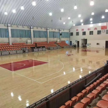 專業(yè)木地板，打造卓越運動空間