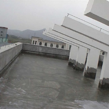 海南防水工程.海南補(bǔ)漏公司海南房屋防水補(bǔ)漏公司