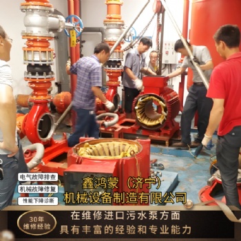 污水廠廢水處理設備格蘭富進口污水泵維修保養(yǎng)泵體劇烈振動
