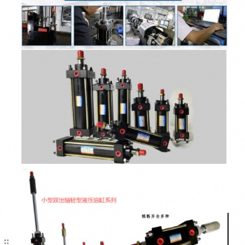 廣東生產(chǎn)叉車油缸油封輕型升降油缸全國批發(fā)廠家供應(yīng)